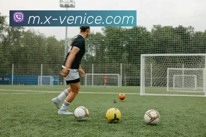 威尼斯人娱乐官网平台生态图