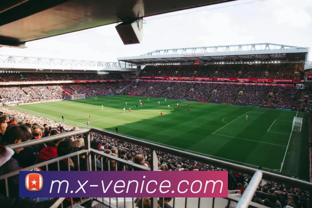 辅助工具 辅助工具